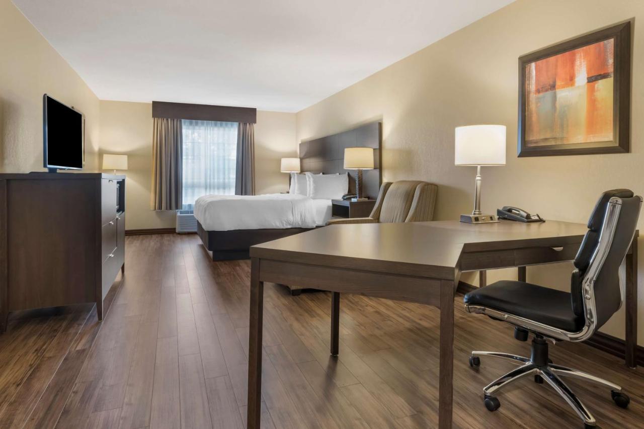 Best Western Plus Saint John Hotel & Suites Ngoại thất bức ảnh